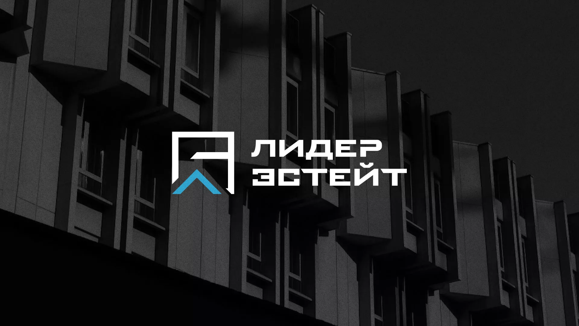 Разработка логотипа агентства недвижимости «Лидер Эстейт» в Альметьевске